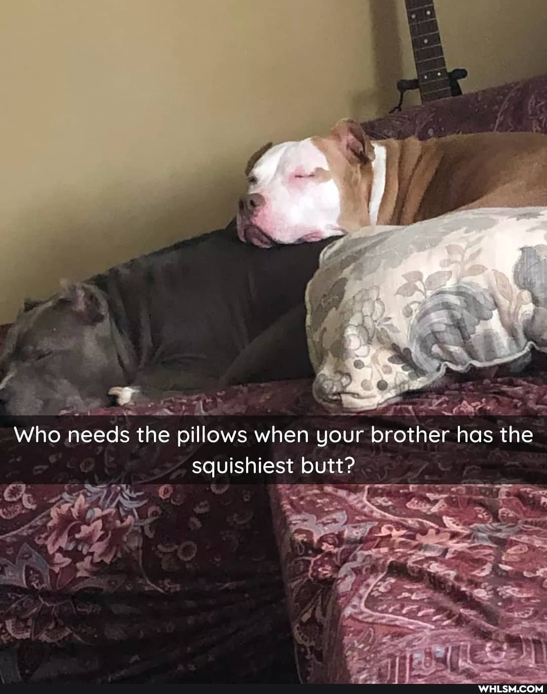 gt
Who needs the pillows when your brother has the squishiest butt?