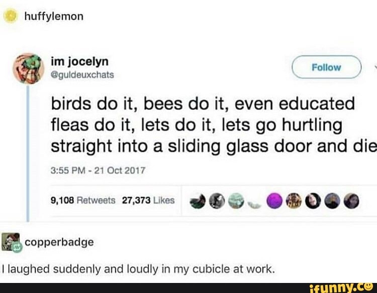 @guldeuxchats
birds do it, bees do it, even educated
fleas do it, lets do it, lets go hurtling
straight into a sliding glass door and die
3:55 PM
21 Oct 2017
9,108 Retweots 27,373 Likes
E copperbadge
I laughed suddenly and loudly in my cubicle at work.