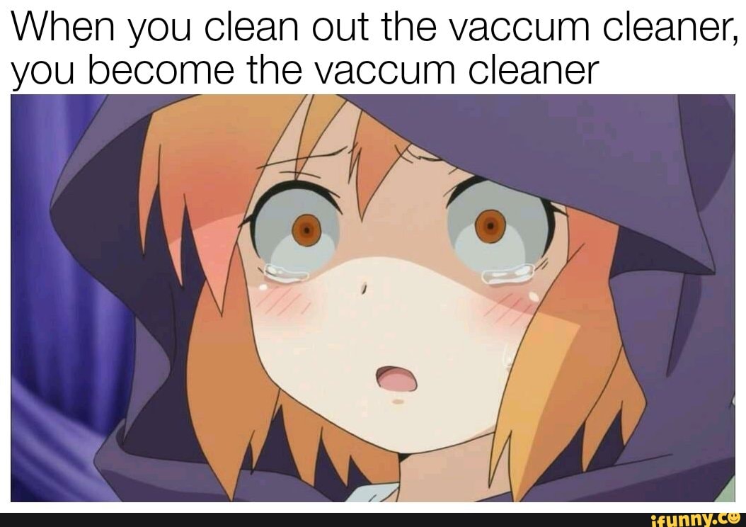 When you clean out the vaccum cleaner, you become the vaccum cleaner