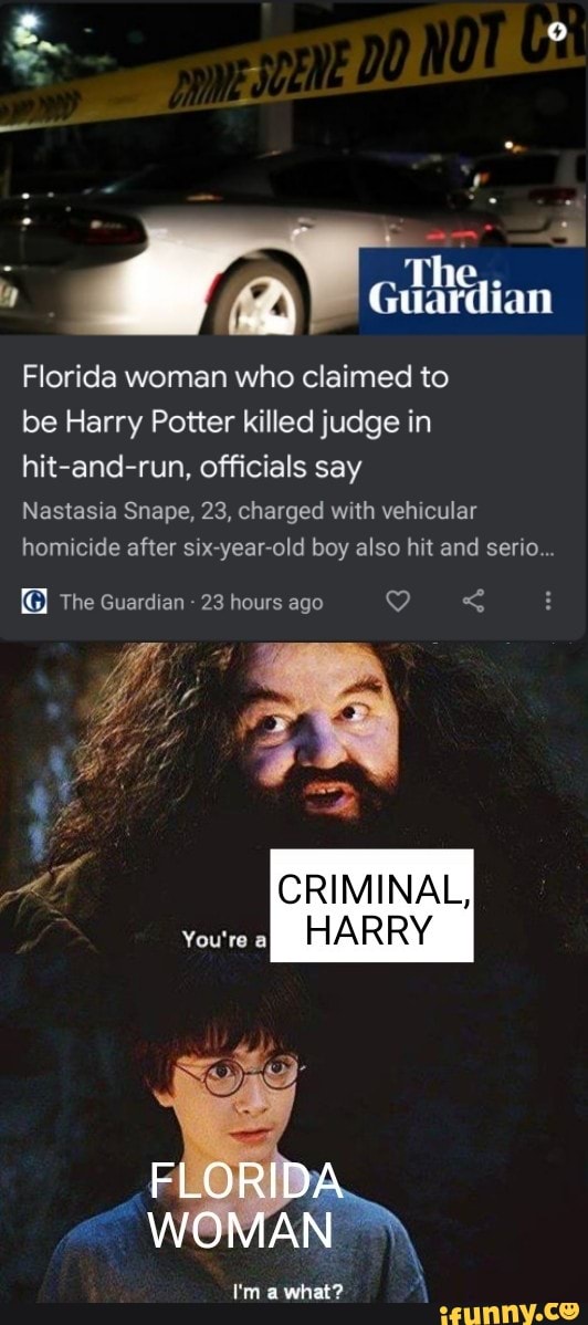 The,,
Florida woman who claimed to
be Harry Potter killed judge in hit-and-run, officials say
Nastasia Snape, 23, charged with vehicular homicide after six year old boy also hit and sere
The Guardian 23 hours ago
CRIMINAL,
You're @ HARRY
FLORIDA
I'm a what?