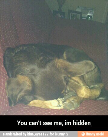 You can't see me, im hidden - You can't see me, im hidden