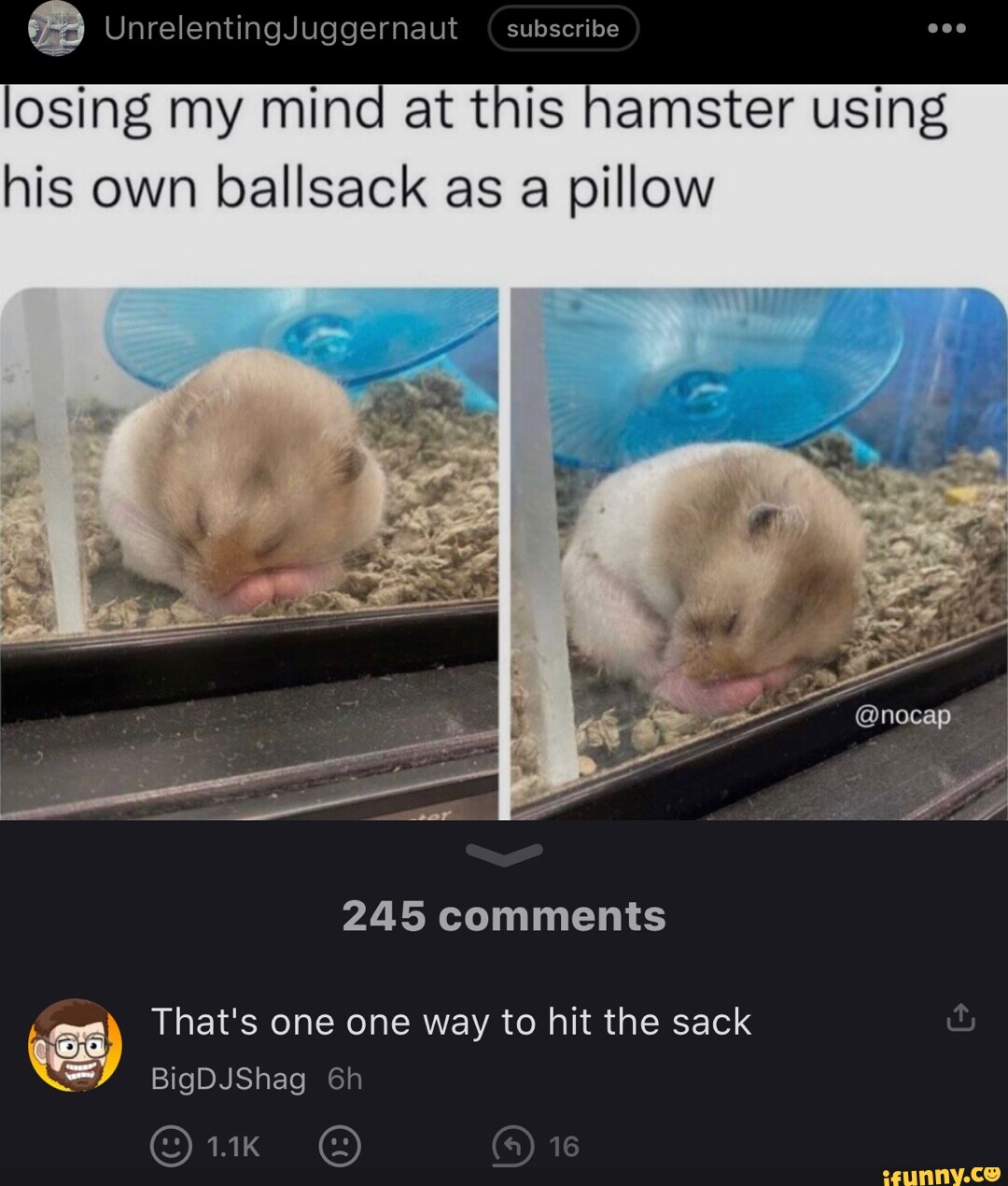 UnrelentingJuggernaut subseribe losing my mind at this hamster using ...