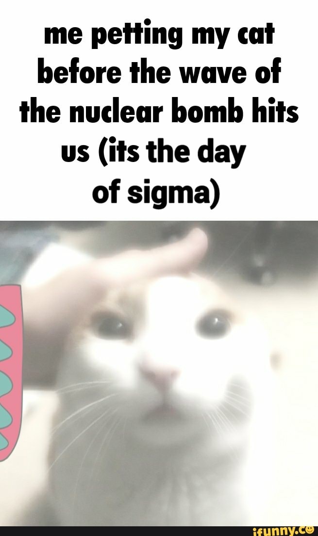 me petting my cat before the wave of the nuclear bomb hits us (its the day of sigma)
