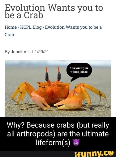 Evolution Wants you to be a Crab Home HCPL Blog 