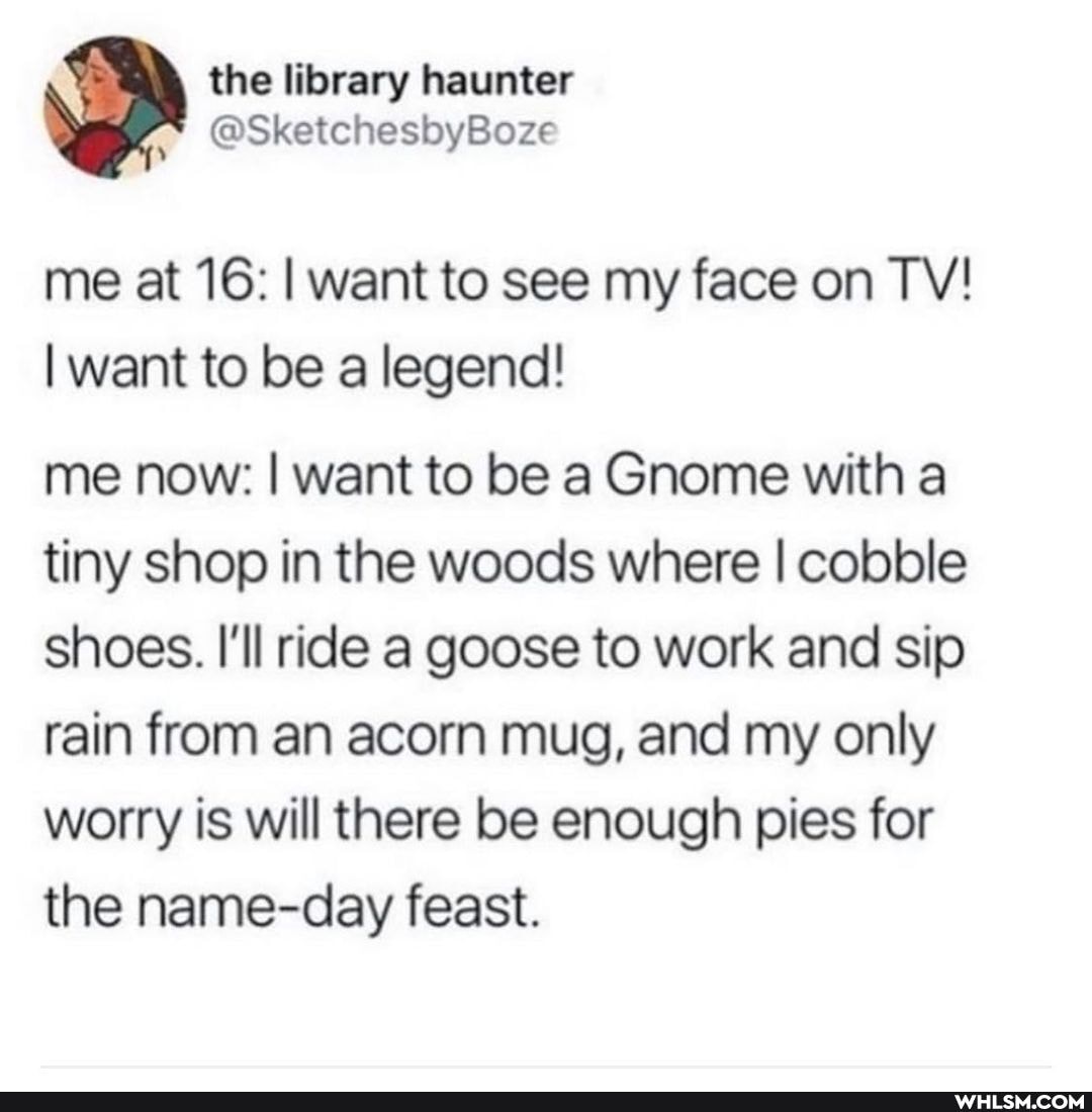the library haunter
me at 16: I want to see my face on TV!
I want to be a legend!
me now: I want to be a Gnome with a tiny shop in the woods where I cobble shoes. I'll ride a goose to work and sip rain from an acorn mug, and my only worry is will there be enough pies for the name-day feast.