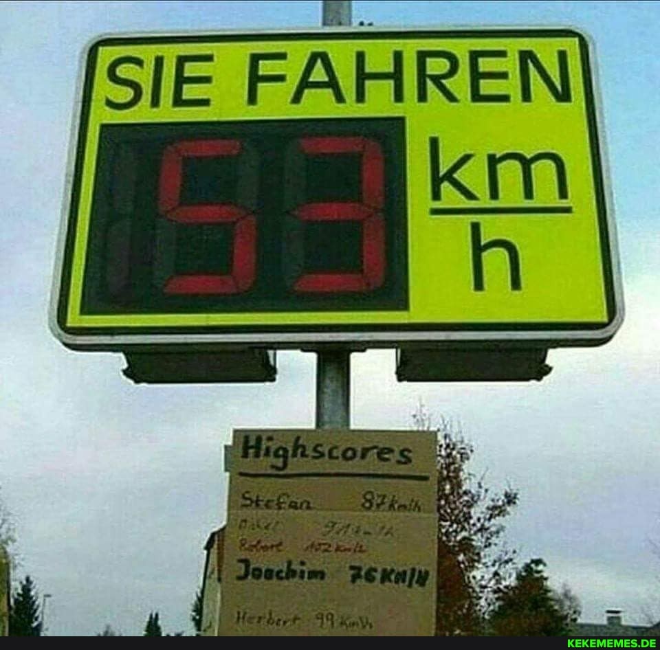 SIE FAHREN)