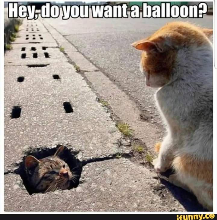 Hey,.do.you want a balloon? Be - iFunny