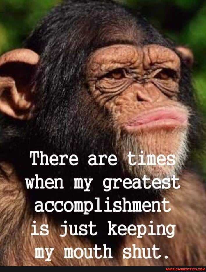 My
There are times when my greatest accomplishment is just keeping my mouth shut.