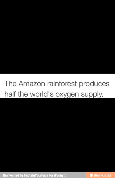 The Amazon rainforest produces half the world's oxygen supply. - iFunny :)