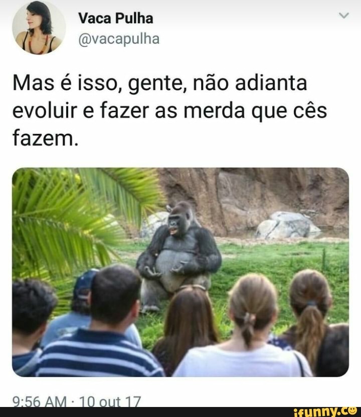 Mas é isso, gente, não adianta
evoluir e fazer as merda que cês
fazem.
9:56 AM 10 out 17