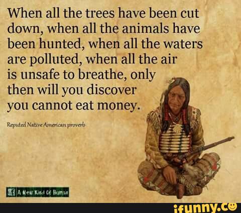 When all the trees have been cut
down, when all the animals have
been hunted, when all the waters
are polluted, when all the air
is unsafe to breathe, only
then will you discover
you cannot eat money.