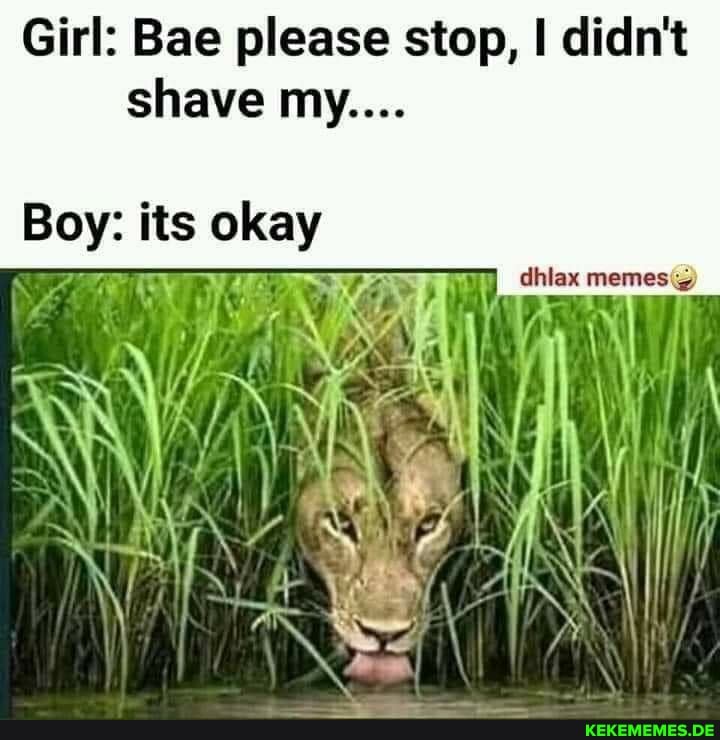 Girl: Bae please stop, I didn't shave my....
Boy: its okay