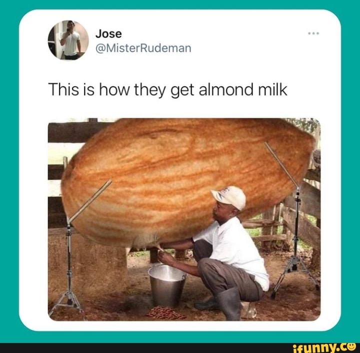 Udders memes. Best Collection of funny Udders pictures on iFunny