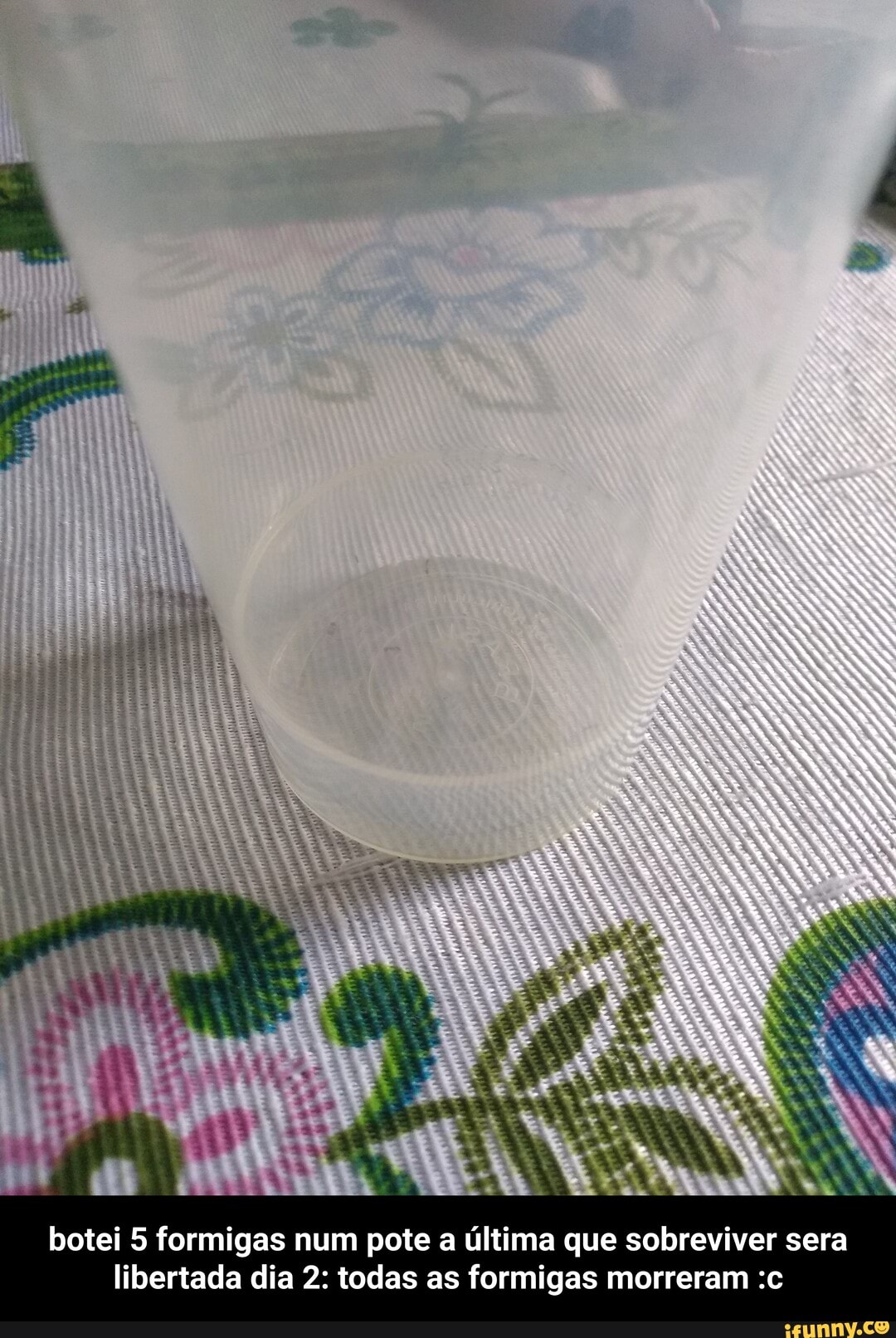 is
botei 5 formigas num pote a última que sobreviver sera libertada dia 2: todas as formigas morreram :c - botei 5 formigas num pote a última que sobreviver sera libertada dia 2: todas as formigas morreram :c
