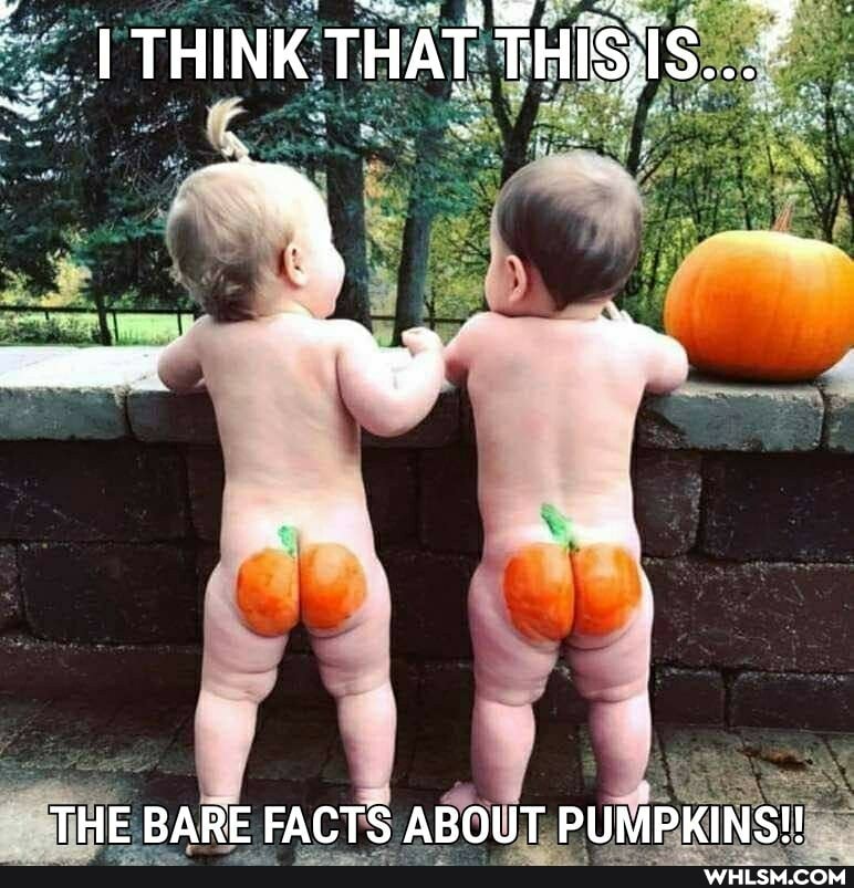 IAT THICGIG THINK THAT THISAS...*
THE BARE FACTS ABOUT PUMPKINS!