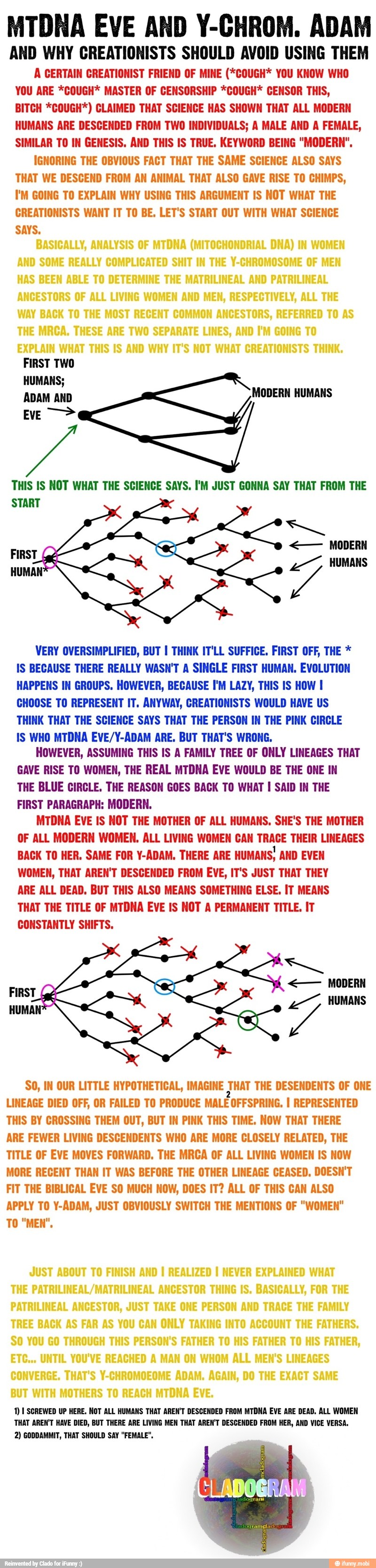 MTDNA EVE AND Y-CHROM. ADAM
AND WHY CREATIONISTS SHOULD AVOID USING THEM
A CERTAIN CREATIONIST FRIEND OF MINE (*COUGH* YOU KNOW WHO
YOU ARE *COUGH* MASTER OF CENSORSHIP *COUGH* CENSOR THIS,
BITCH *COUGH*) CLAIMED THAT SCIENCE HAS SHOWN THAT ALL MODERN
HUMANS ARE DESCENDED FROM TWO INDIVIDUALS; A MALE AND A FEMALE,
SIMILAR TO IN GENESIS. AND THIS IS TRUE, KEYWORD BEING "MODERN",
IGNORING THE OBVIOUS FACT THAT THE SAME SCIENCE ALSO SAYS
THAT WE DESCEND FROM AN ANIMAL THAT ALSO GAVE RISE TO CHIMPS,
I'M GOING TO EXPLAIN WHY USING THIS ARGUMENT IS NOT WHAT THE
CREATIONISTS WANT IT TO BE. LET'S START OUT WITH WHAT SCIENCE
SAYS.
THIS IS NOT WHAT THE SCIENCE SAYS. I'M JUST GONNA SAY THAT FROM THE
VERY OVERSIMPLIFIED, BUT I THINK IT'LL SUFFICE. FIRST OFF, THE IS BECAUSE THERE REALLY WASN'T A SINGLE FIRST HUMAN. EVOLUTION
HAPPENS IN GROUPS. HOWEVER, BECAUSE I'M LAZY, THIS IS HOW I
CHOOSE TO REPRESENT IT. ANYWAY, CREATIONISTS WOULD HAVE US
THINK THAT THE SCIENCE SAYS THAT THE PERSON IN THE PINK CIRCLE
IS WHO MTDNA EVE/Y-ADAM ARE. BUT THAT'S WRONG.
HOWEVER, ASSUMING THIS IS A FAMILY TREE OF ONLY LINEAGES THAT