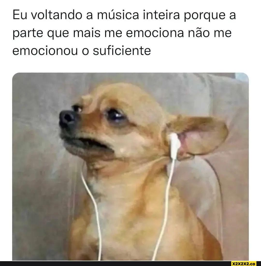 Siga @memedepsicologia ️ - Eu voltando a música inteira porque a parte ...