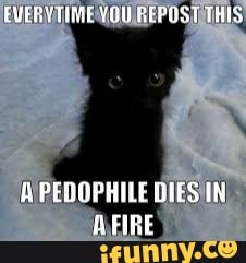 doit, cat, wtf, plz