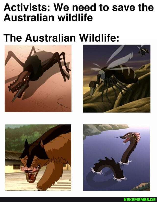 Activists: We need to save the Australian wildlife The Australian Wildlife: