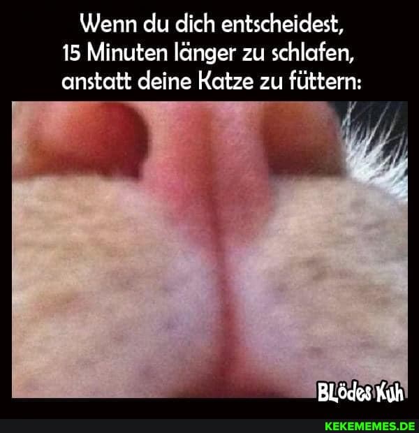 Wenn du dich entscheidest,
15 Minuten länger zu schlafen, anstatt deine Katze zu füttern:
BlLödes Kuh