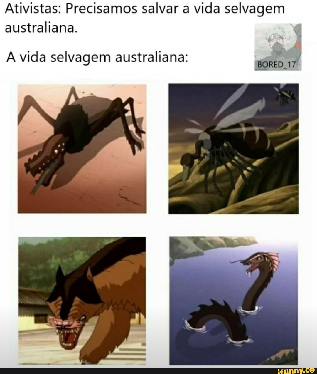 Ativistas: Precisamos salvar a vida selvagem australiana.
A vida sel traliana: vida selvagem australiana: BORED 17