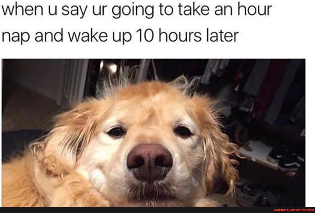 when u say ur going to take an hour nap and wake up 10 hours later