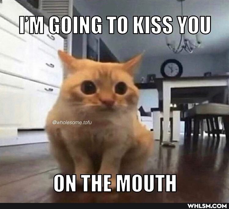 KISS
ON THE MOUTH