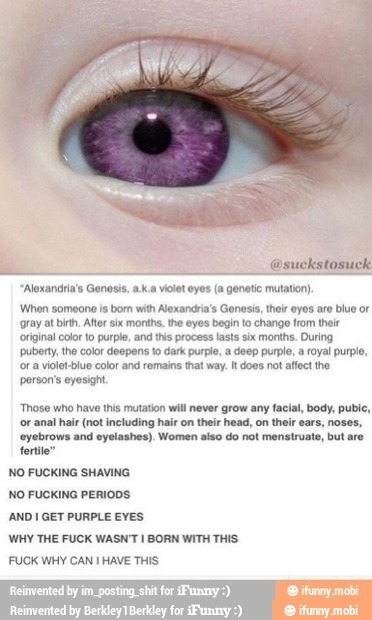 "Aloxandri
When someone
is
bom with Alexandria's Genesis, thor eyos aro bluo or
gray at bit. After six months, the eyes begin to change from their
original color to purple, and this process lasts six months. During
'puberty, the color deepens to dark purple, a deep purple, a royal purple,
or a violet-blue color and remains that way. It does not affect the
person's eyesight,
Gonesis, a.k.a vole eyes (a genetic mutation)
'Those who have this mutation will never grow any facial, body, pubic,
or anal hair (not including hair on their head, on their ears, noses,
'eyebrows and eyelashes). Women also do not menstruate, but are
tertile"
NO FUCKING SHAVING
NO FUCKING PERIODS
'AND I GET PURPLE EVES
WHY THE FUCK WASN'T I BORN WITH THIS
FUCK WHY CAN I HAVE THIS
Reinvented by im. posting shit for iFunmy