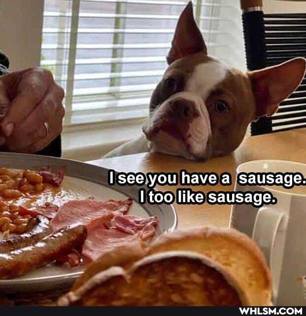See you have a sausage.
too like sausage.