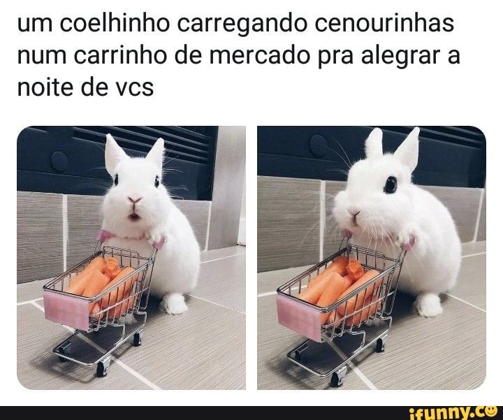 um coelhinho carregando cenourinhas num carrinho de mercado pra alegrar a noite de vcs
