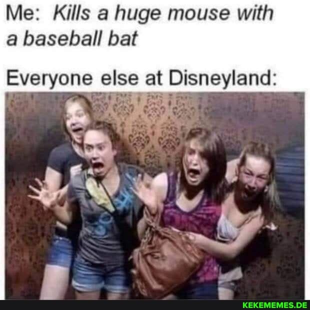 Me: Kills a huge mouse with a baseball bat Everyone else at Disneyland: