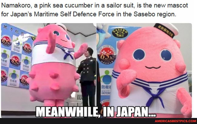 Namakoro, a pink sea cucumber in a sailor suit, is the new mascot for Japan's Maritime Self Defence Force in the Sasebo region.