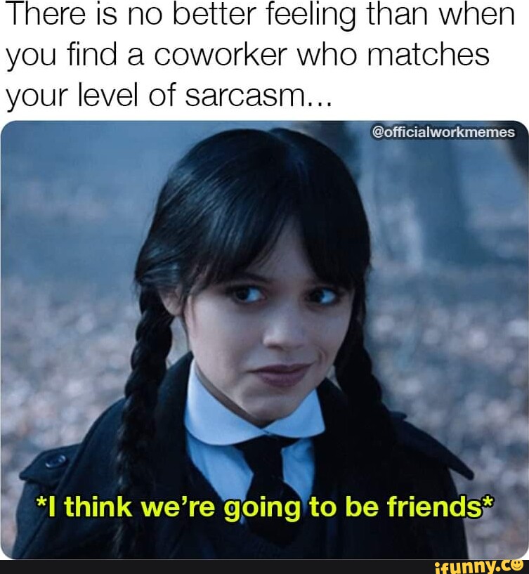 There is no better feeling than when you find a coworker who matches  @6ficiatworkmemes your level of sarcasm *I think we're going to be  friends; - iFunny Brazil