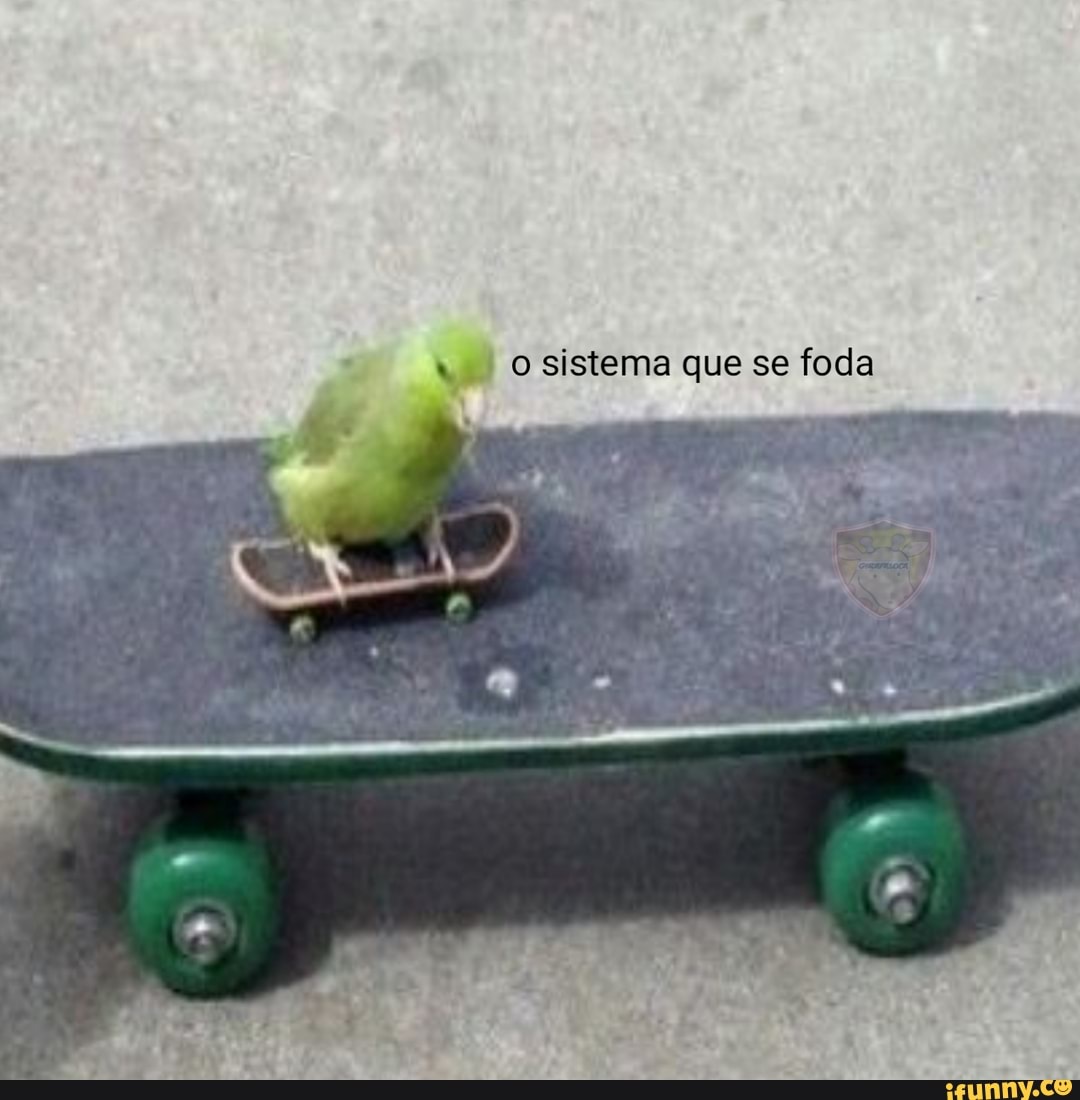 coletivo, memeparacomentarios, comentarios, que, se, foda, animais, fofinho