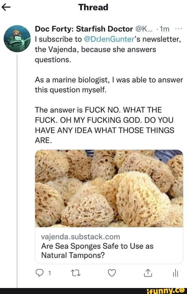 Are Sea Sponges Safe to Use as Natural Tampons?