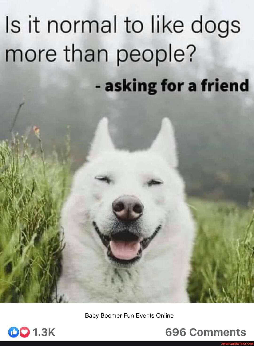 Is it normal to like dogs more than people?
asking for
if
Baby Boomer Fun Events Online
BOB Comments