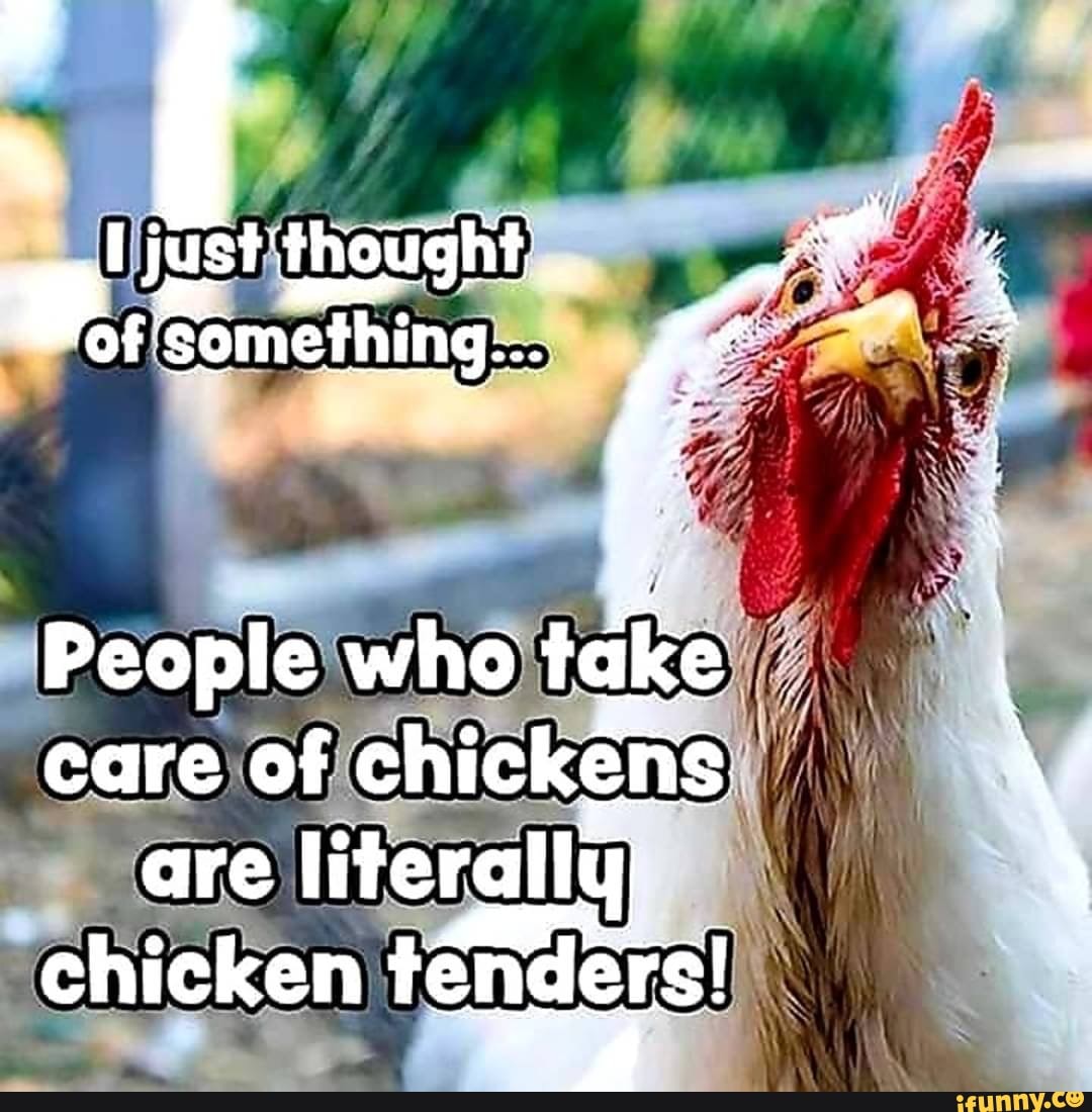 People who care of chickens are literally) chicken tengers! - iFunny