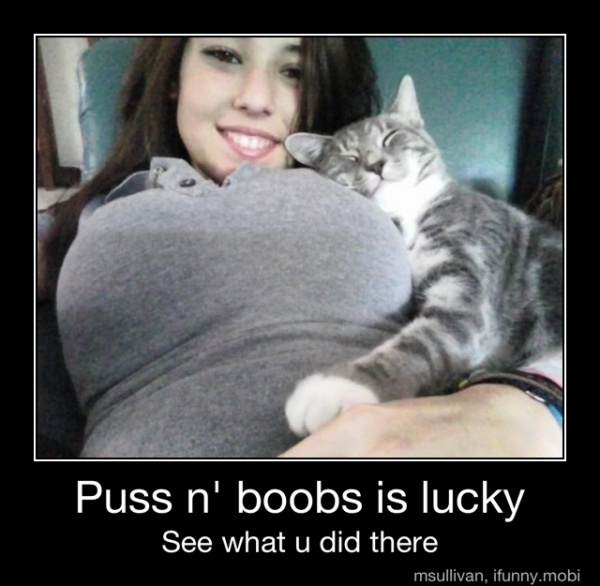 Puss In Boobs