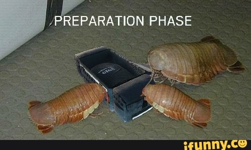 /PREPARATION PHASE