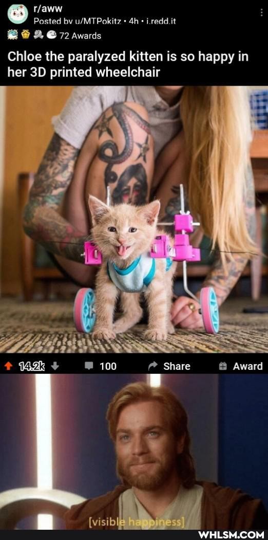 Posted by i.redd.it
awards
Chloe the paralyzed kitten is so happy in her printed wheelchair
PLES SS
100 @ Share Award
at