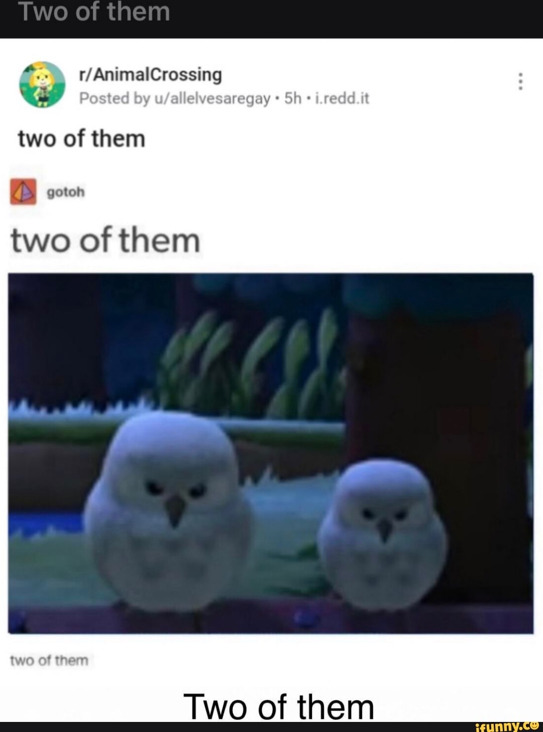 two of them
as} gotoh
two of them