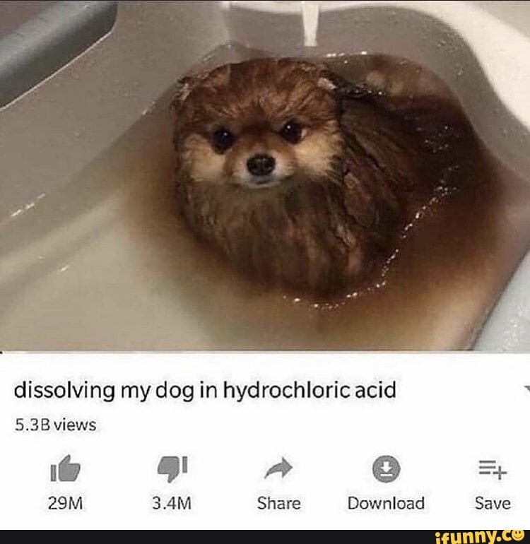 Dissolving my dog in hydrochloric acid ad Share Download iFunny