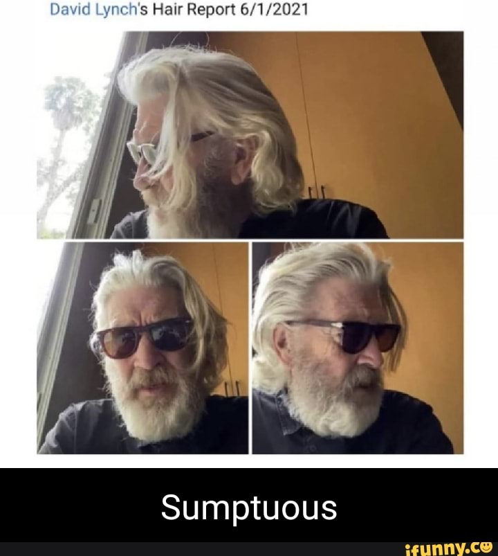 David Lynch's Hair Report
Sumptuous