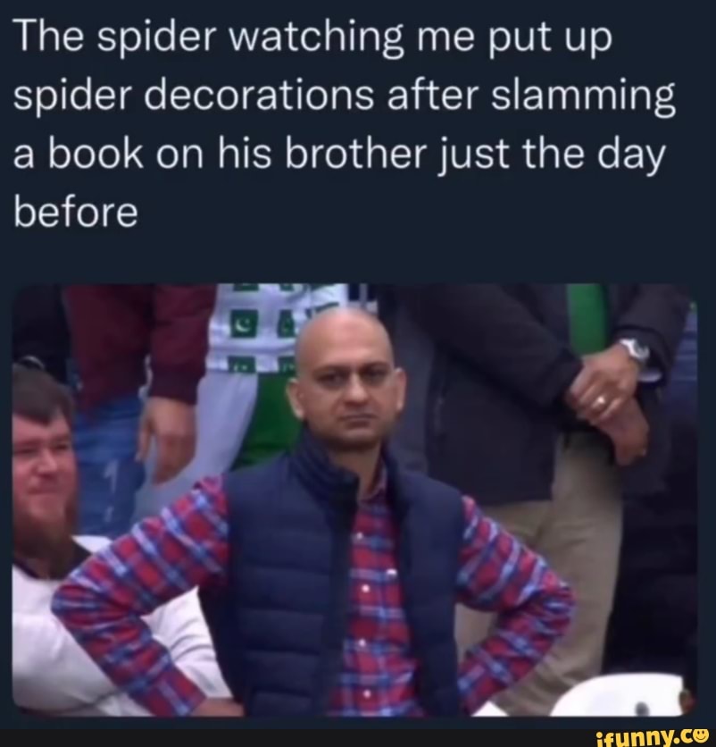 The spider watching me put up spider decorations after slamming a book ...