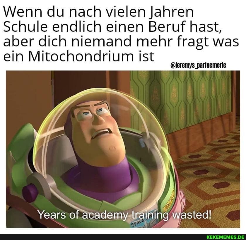 Wenn du nach vielen Jahren
Schule endlich einen Beruf hast,
aber dich niemand mehr fragt was ein Mitochondrium ist
@ieremys_parluemerie
Years of academy training wasted!