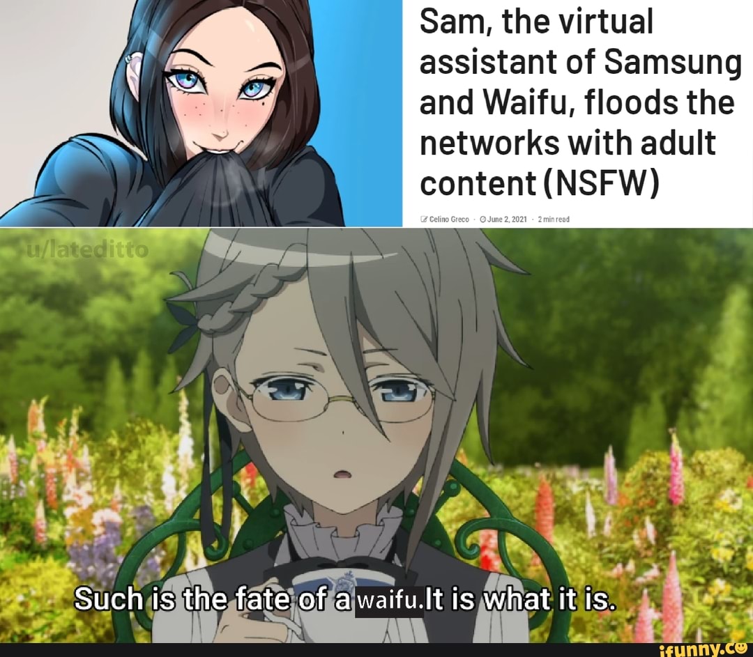 Sam The Virtual Assistant Of Samsung And Waifu Floods The Networks With Adult Content Nsfw Such Is The Fate Of A Waifu Lt Is What It Is