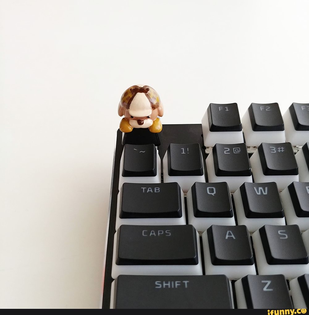 Keycaps Memes Best Collection Of Funny Keycaps Pictures On Ifunny