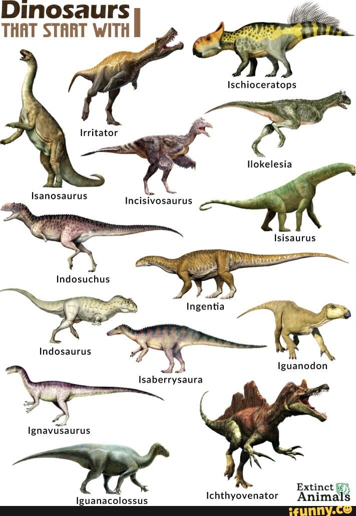 Dinosaurs THAT START WITH Isanosaurus Hi Indosaurus Iguanodon au ...