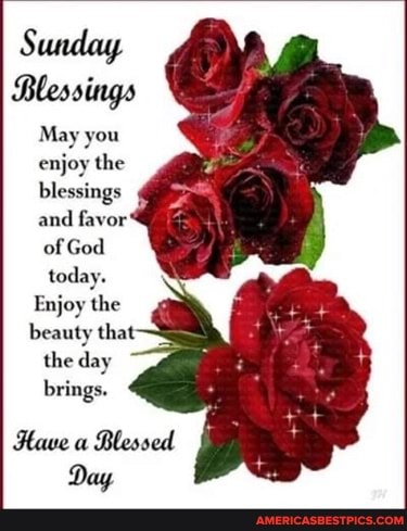 Sunday
Blessings
May you enjoy the blessings and favor of God
Enjoy the
beauty that
the day
brings.
Have a Blessed
Day