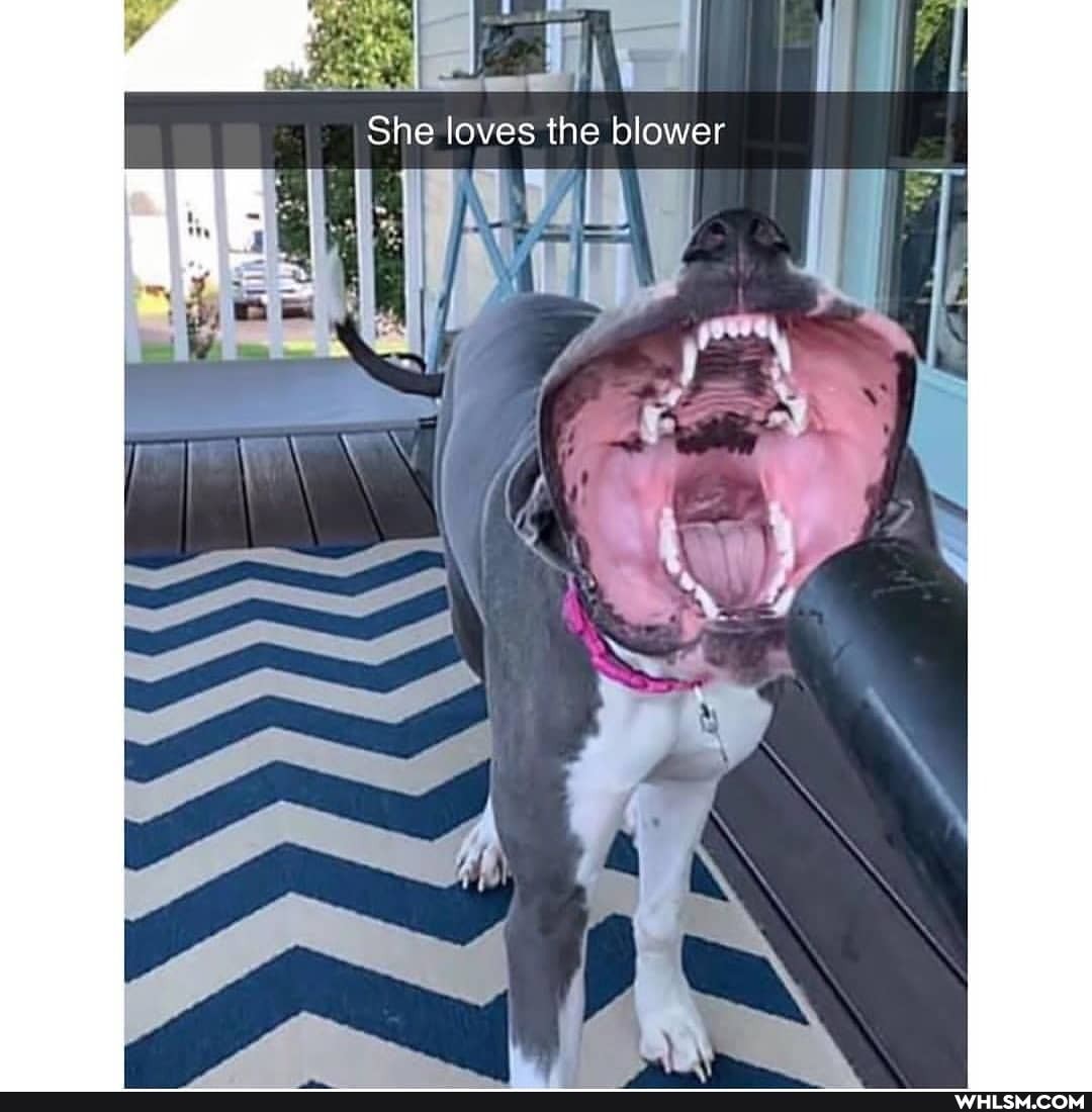She loves the blower
AG